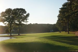 Reynolds (Great Waters) 18th